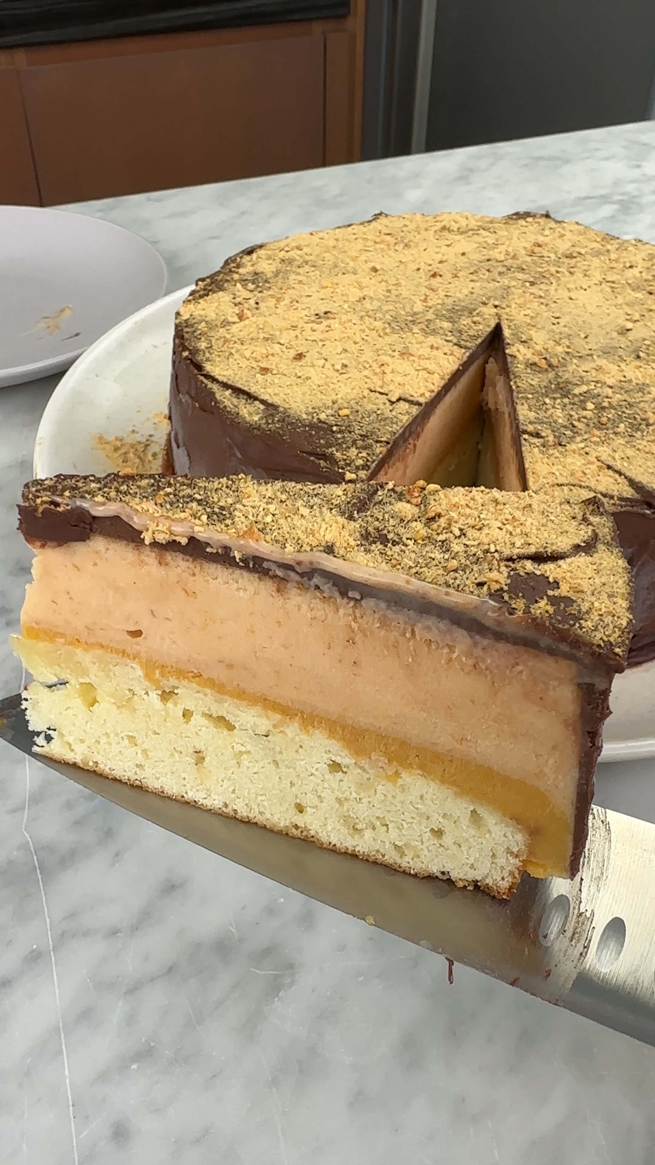 Apricot and Almond Ice Cream Cake